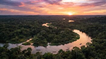 Qual é o maior estado do Brasil em território?
